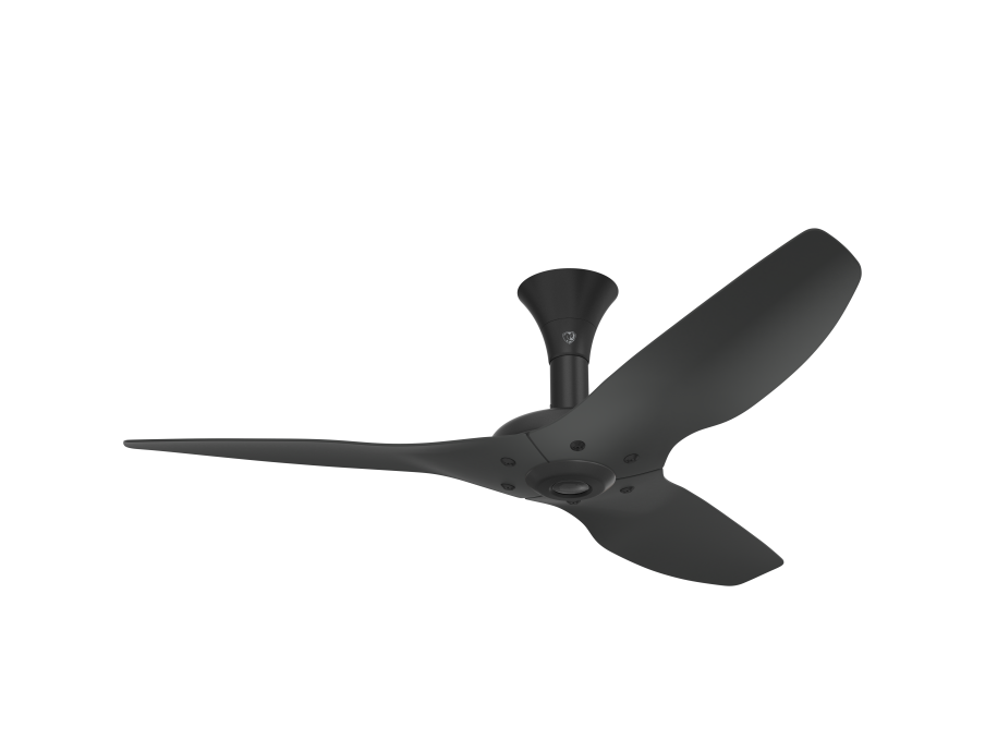Haiku Outdoor Ceiling Fan