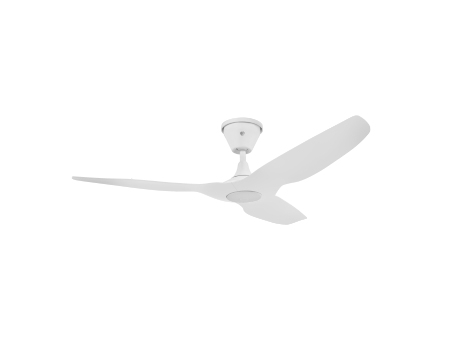 Haiku Coastal Ceiling Fan