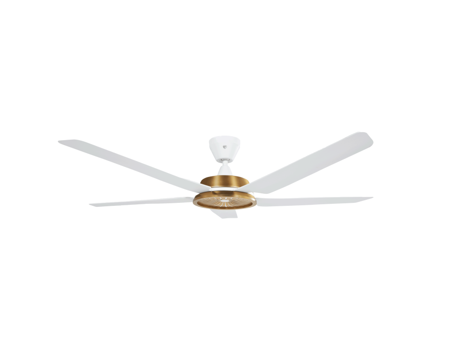 Speakeasy Indoor Fan